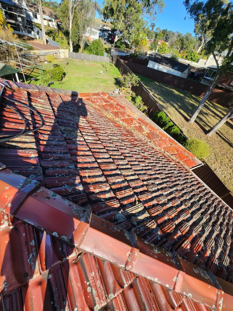 Gutter and reoof repair roofing business near me