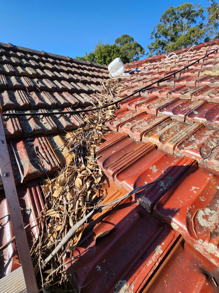 Gutter replacement roof leak repair near me